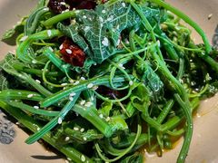 凉拌丝瓜尖-灶东家民间菜(回兴店)