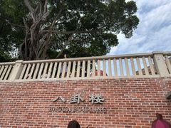 -八卦楼风琴博物馆