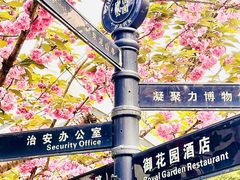 -中山公园