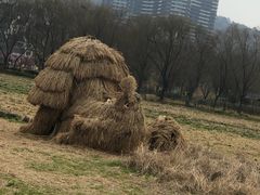 -长兴太湖图影湿地文化园