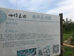 -阿林有机农庄