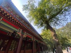 -灵谷景区
