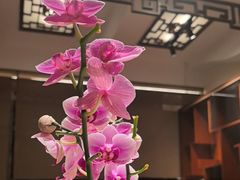 -山水茶艺馆·点心粤菜·30年老字号