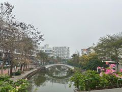 -奈雪的茶(大梅沙8号仓店)