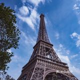 第一次有去巴黎的念想是看了一本很多插画的巴黎随笔