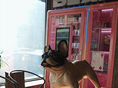 -LYFATTI 莱芙缇(赣水路店)