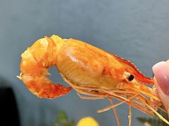 -喜聚薈·花膠雞海鮮火鍋(越秀店)