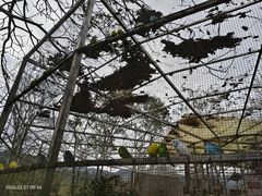 -佛冈森波拉度假区