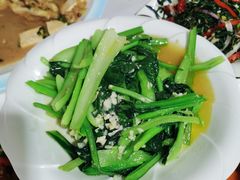 -煲来饱去冷水鱼