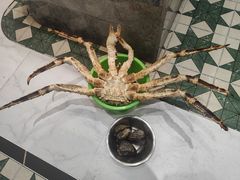 -帝皇海海鲜豆捞(桐泾商务广场店)