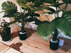 -TAIWAN·潭子茶屋