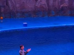 -华夏文旅海洋公园