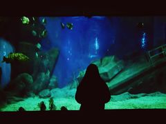 -福州罗源湾海洋世界旅游区