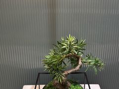 -青水瓦台汤泉(未央店)