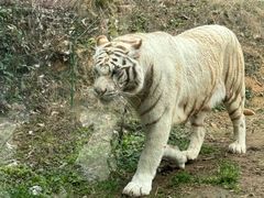 -杭州野生动物世界