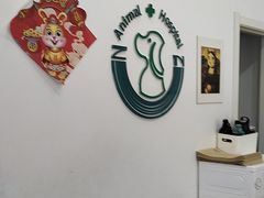 -中农国际动物医院24小时·猫科·骨科·急重症中心
