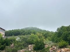 -威海大乳山景区