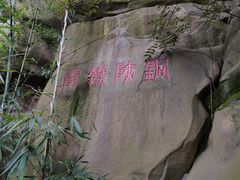 -铁山坪森林公园