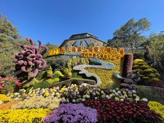 -杭州植物园