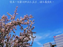 -海棠花溪(元大都城垣遗址公园)