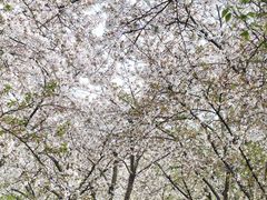 -龙美术馆(西岸馆)