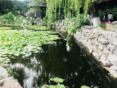 -文瀛公园