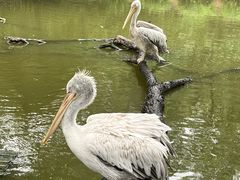-济南野生动物世界