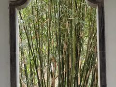 -秋霞圃