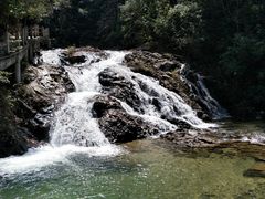 -九龙江国家森林公园