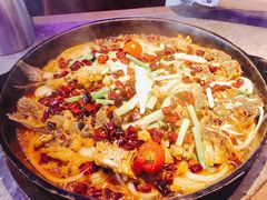 -老板恋上鱼(恒隆广场店)