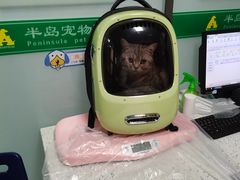 -半岛宠物医院24小时(科华中路店)