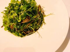 香椿苗豆腐丝-禧宴Joyous Restaurant(禧园店)