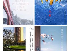 -房地产交易中心-停车场