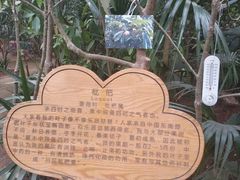 -呀路古热带植物园