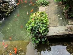 -真真老老(月河花鸟市场店)