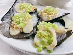 带子-老三鱼仔店