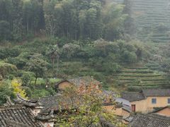 -杨家堂村