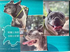 -美联众合动物医院·24h转诊中心