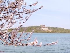 -颐和园-景明楼