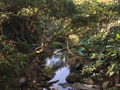 -广州市石门国家森林公园