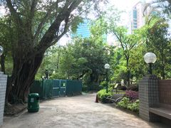 -九龙公园