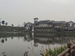 -金卉庄园