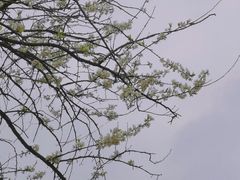 -广州长隆野生动物世界
