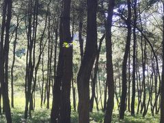 -Club Med地中海俱乐部·桂林度假村