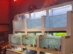 -质烤烤物·活烤海鲜(质烤总店)