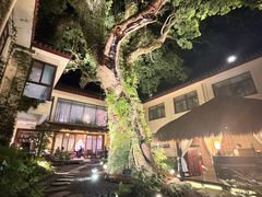 -普陀山雷迪森庄园