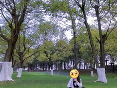 -秀丽东方