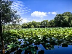 -承德避暑山庄景区