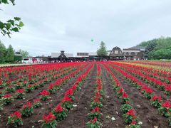 -富田农场