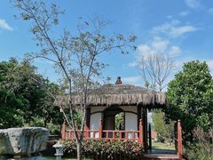 -东莞植物园